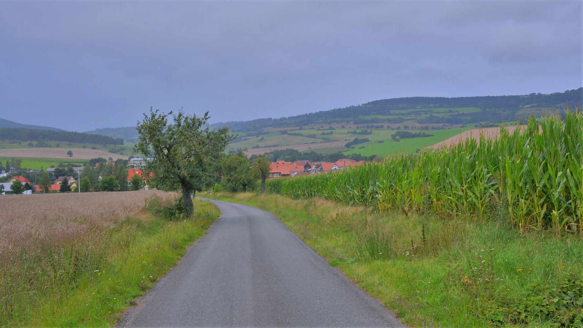 Blick auf Helmershausen (vista a Helmershausen)