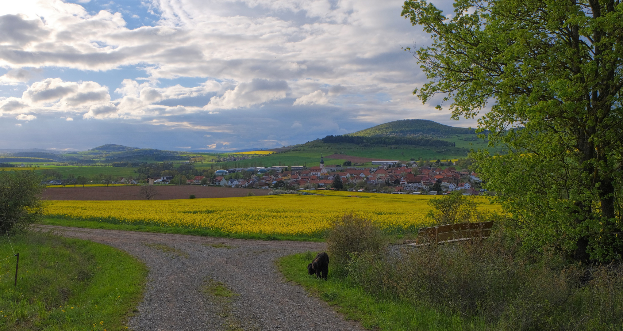 Blick auf Helmershausen (vista a Helmershausen)