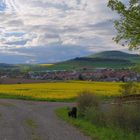 Blick auf Helmershausen (vista a Helmershausen)