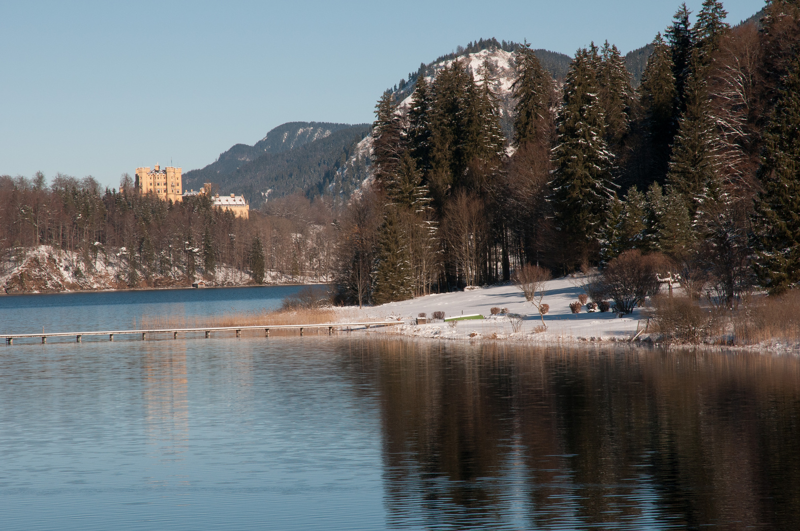 Blick auf Hohenschwangau