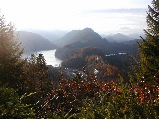 Blick auf Hohenschwangau