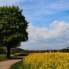 Blick auf Holzgerlingen