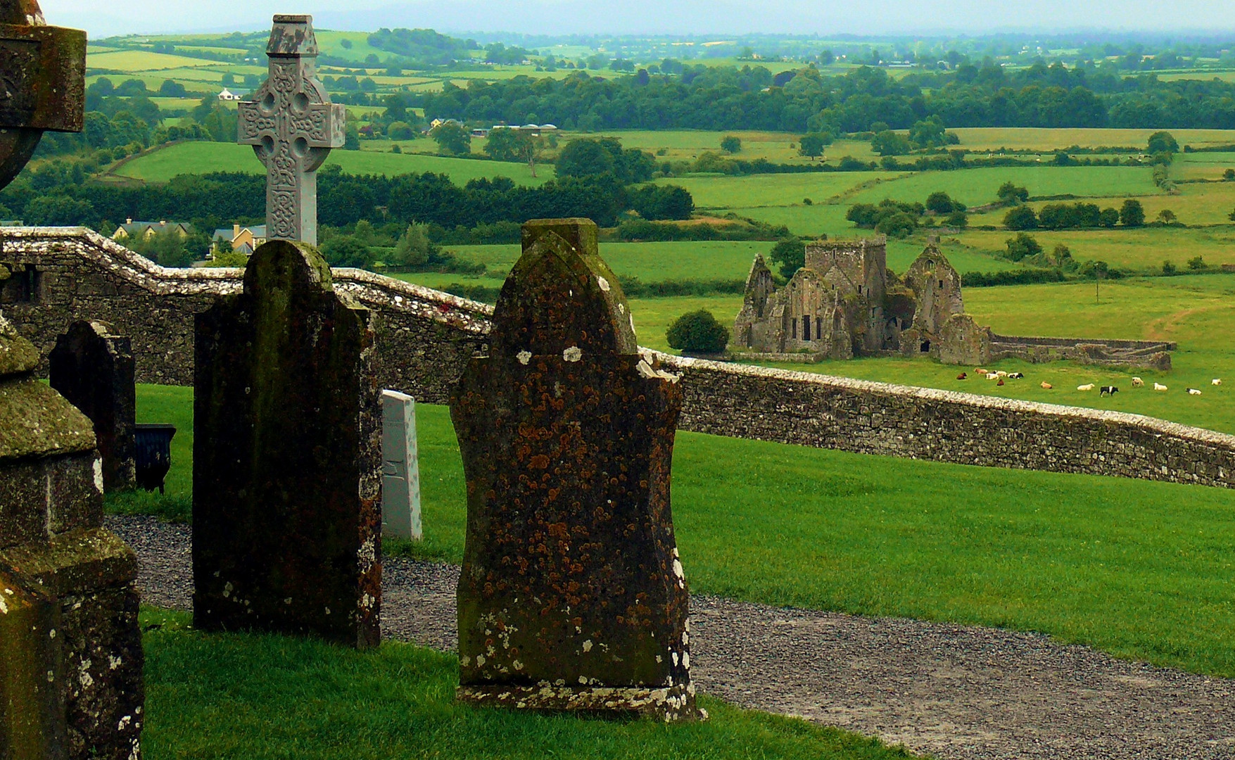 Blick auf Hore Abbey