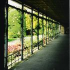 Blick auf idyllischen Garten