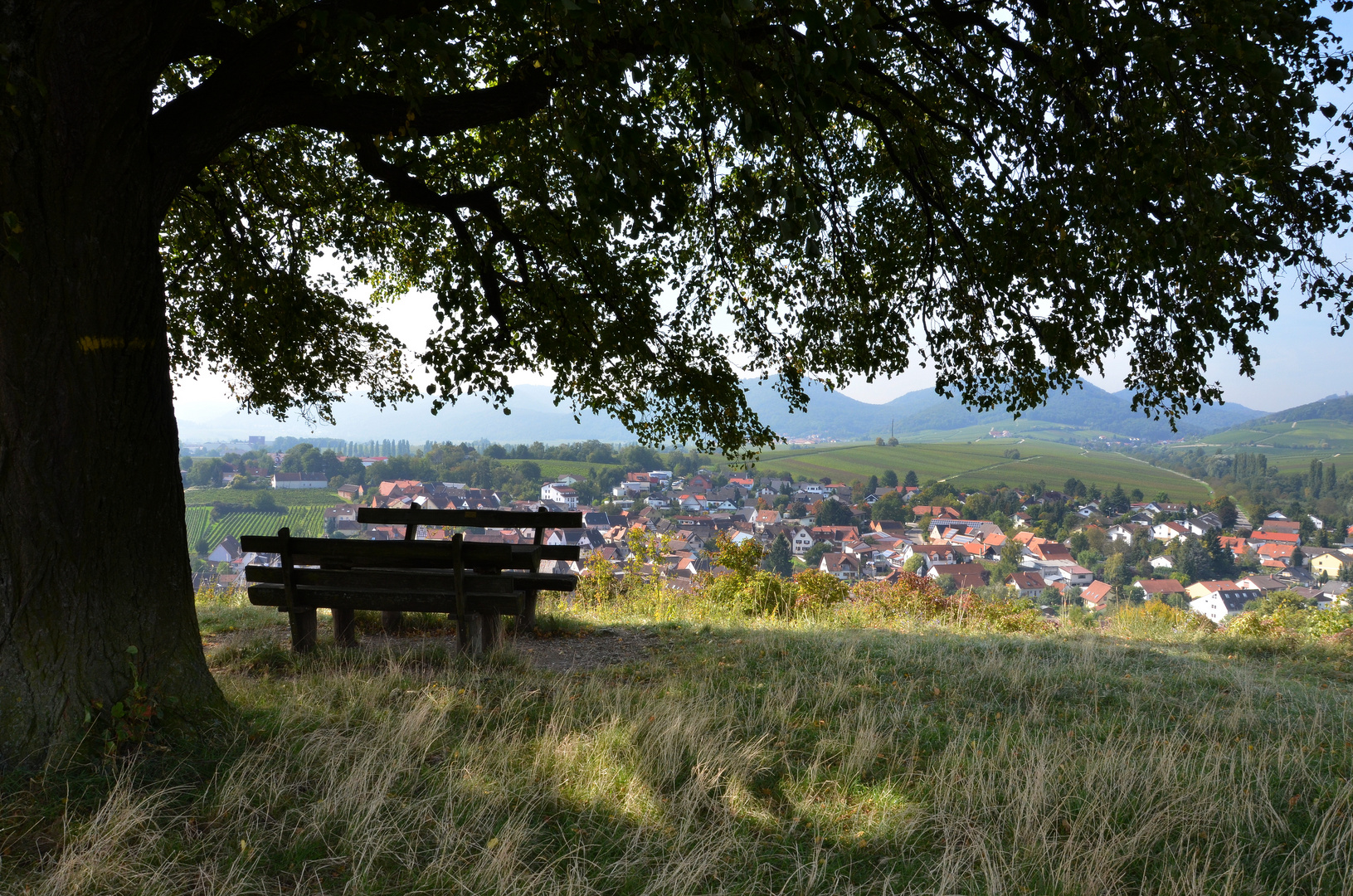 Blick auf Ilbesheim von der kleinen Kalmit - bei Landau in der Pfalz - Deutschland