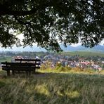 Blick auf Ilbesheim von der kleinen Kalmit - bei Landau in der Pfalz - Deutschland