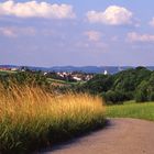 Blick auf Ilsfeld