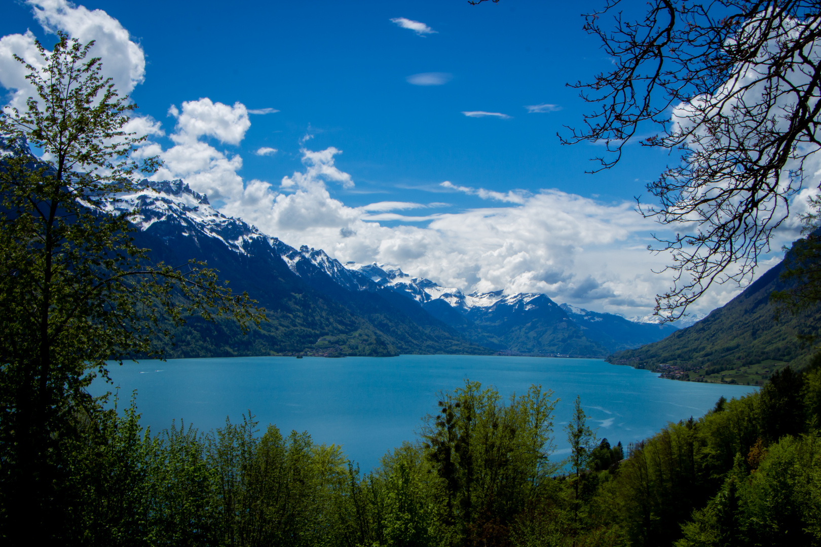 Blick auf Iseltwald/Interlaken/Oberried