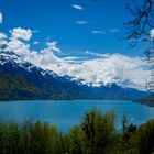 Blick auf Iseltwald/Interlaken/Oberried