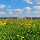 Blick auf Isny im Allgäu