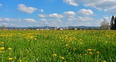 Blick auf Isny im Allgäu