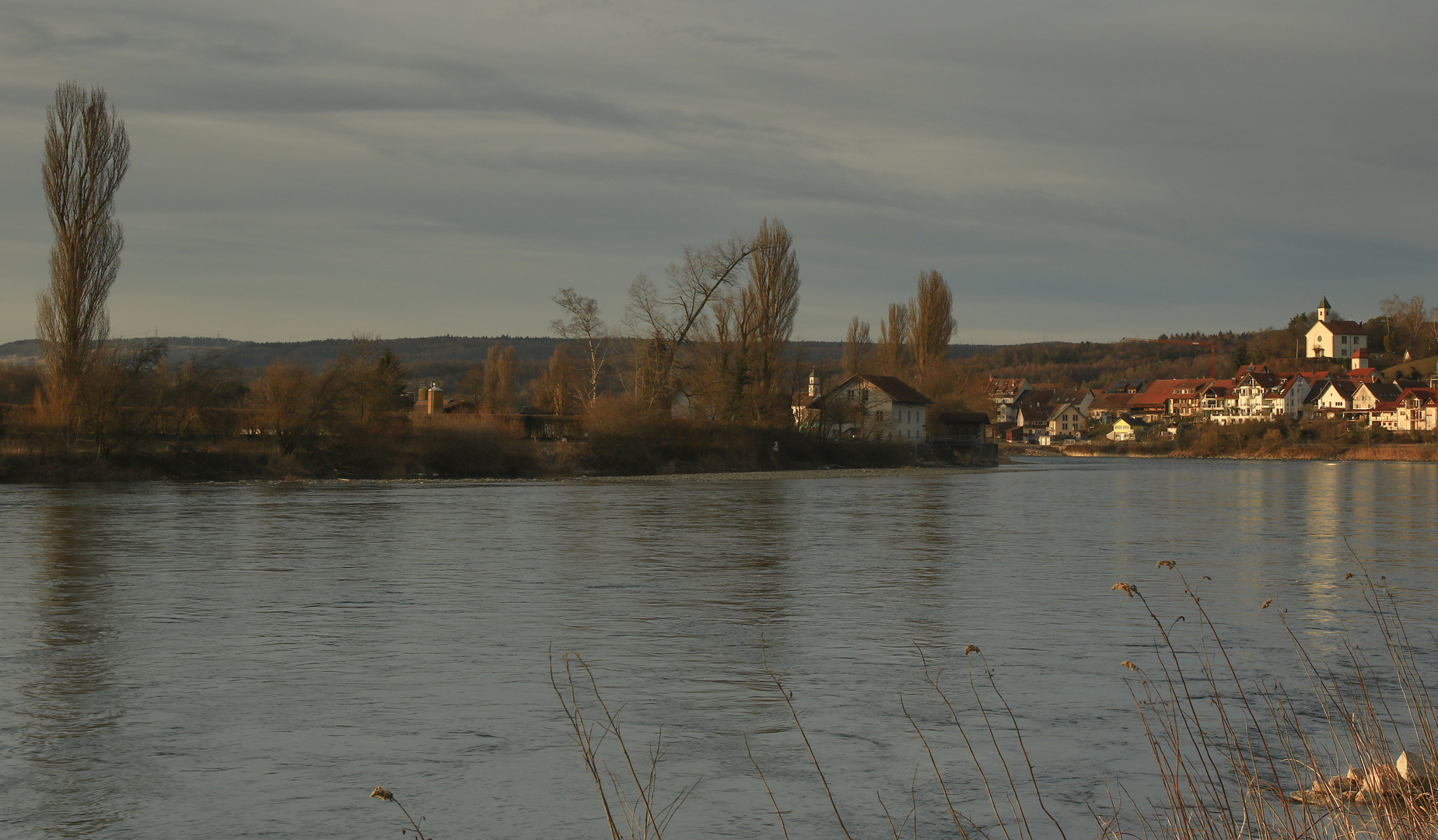 Blick auf Kadelburg am Rhein