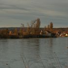 Blick auf Kadelburg am Rhein