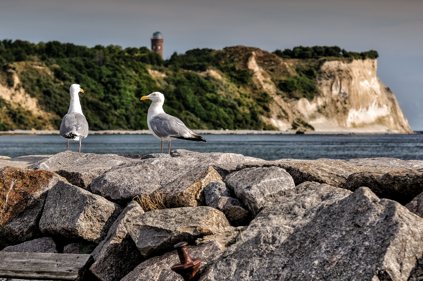 Blick auf Kap Arkona (2)