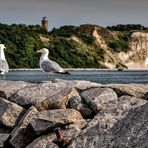 Blick auf Kap Arkona (2)