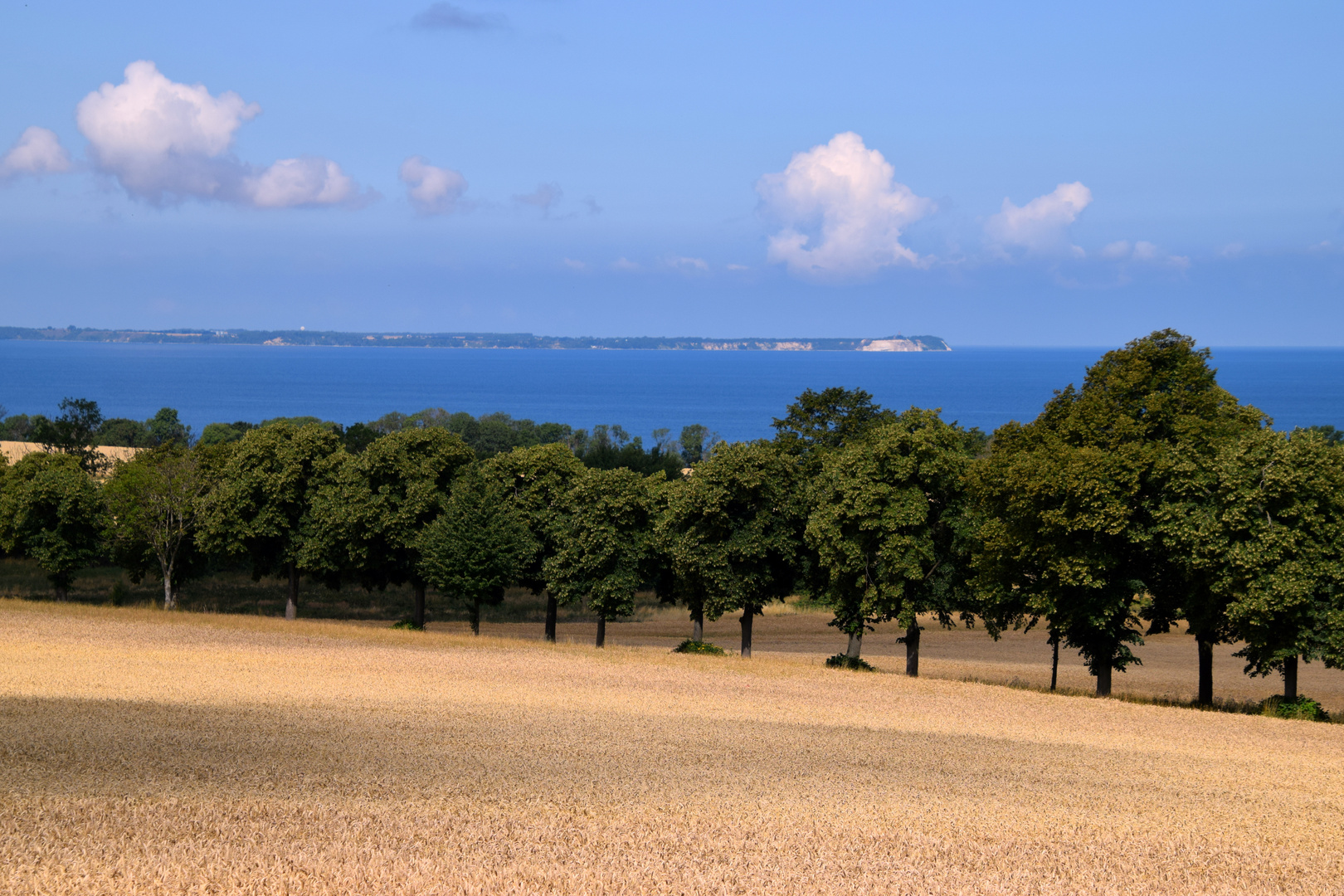 Blick auf Kap Arkona