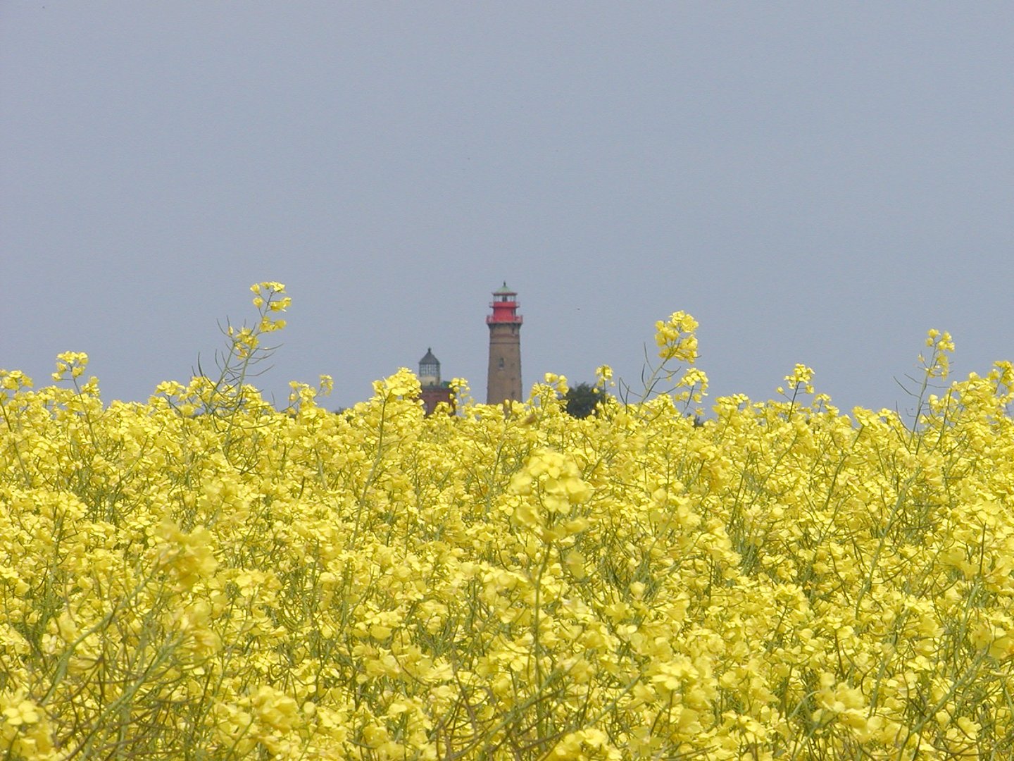 Blick auf Kap Arkona