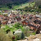 Blick auf Kaysersberg Elsass