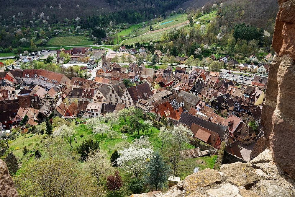 Blick auf Kaysersberg Elsass