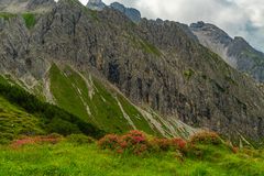 Blick auf Kemptner Kopf