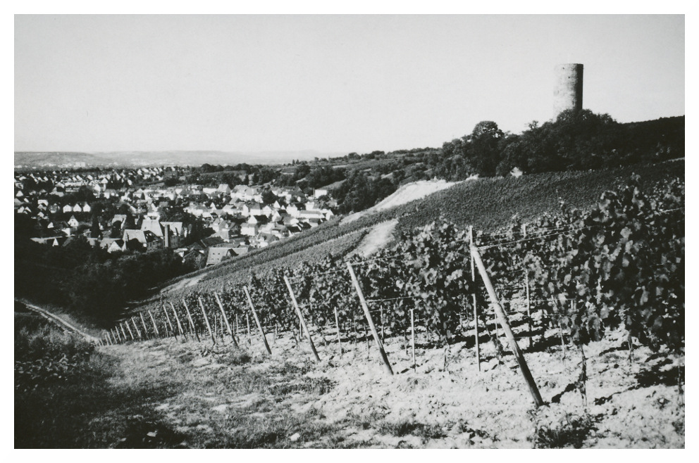 Blick auf Kiedrich und Ruine Scharfenstein (reloaded)