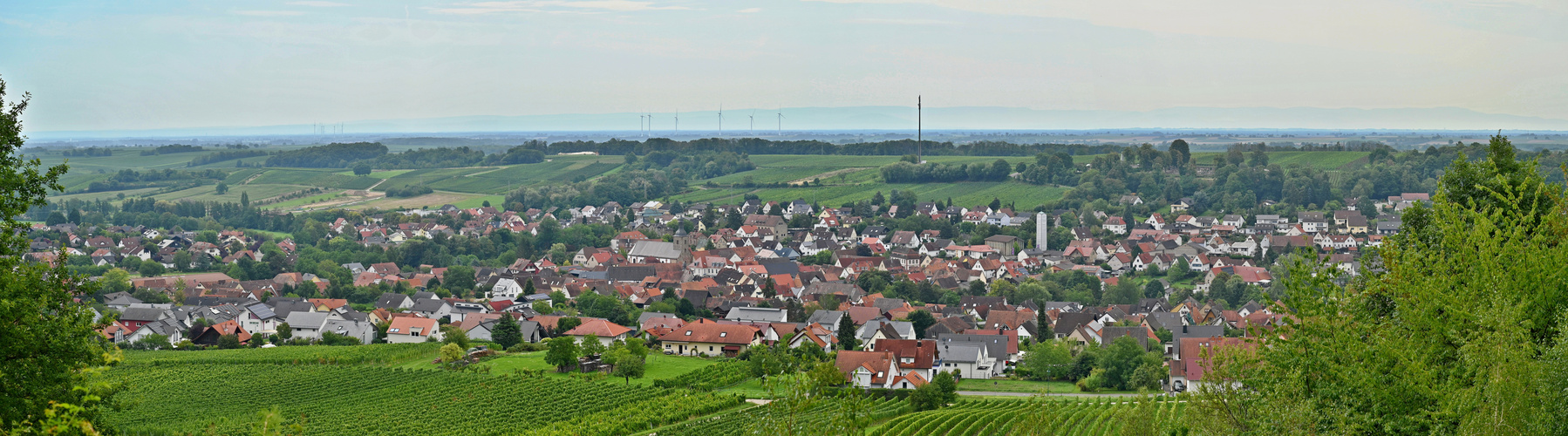 Blick auf Kingenmünster / Pfalz