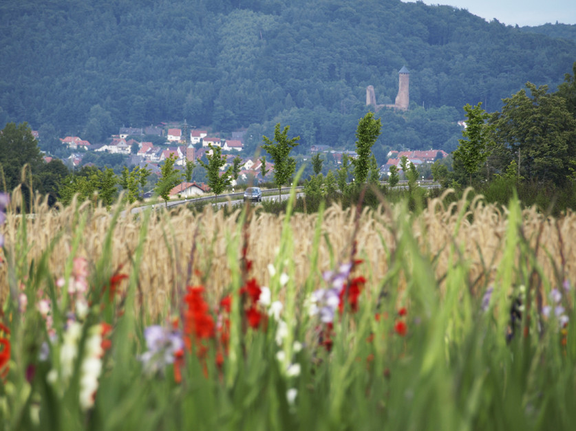 Blick auf Kirkel