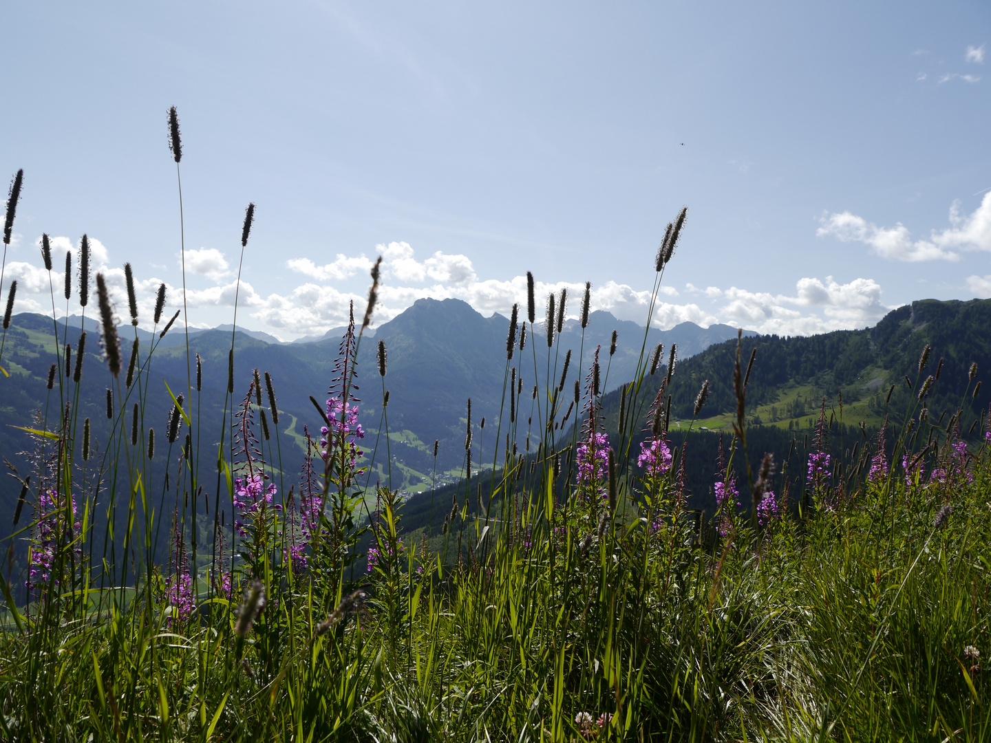 Blick auf Kleinarl