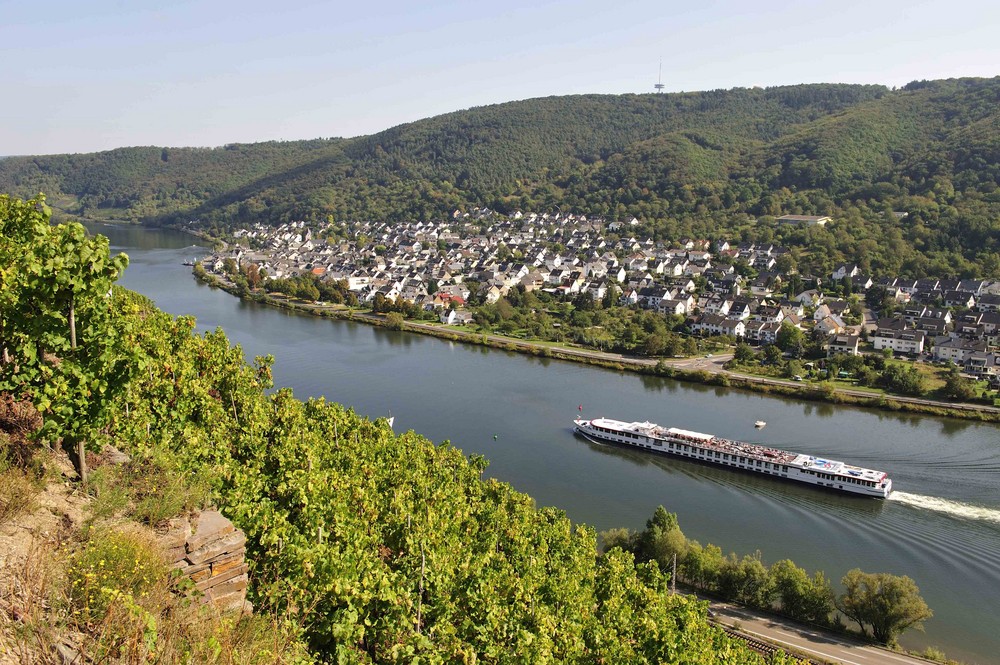 Blick auf Koblenz-Lay
