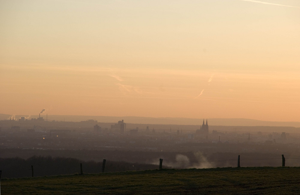 Blick auf Köln