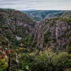 Blick auf Königsruhe