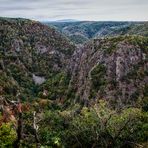 Blick auf Königsruhe