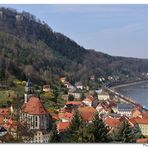 Blick auf Königstein -Frühjahr-