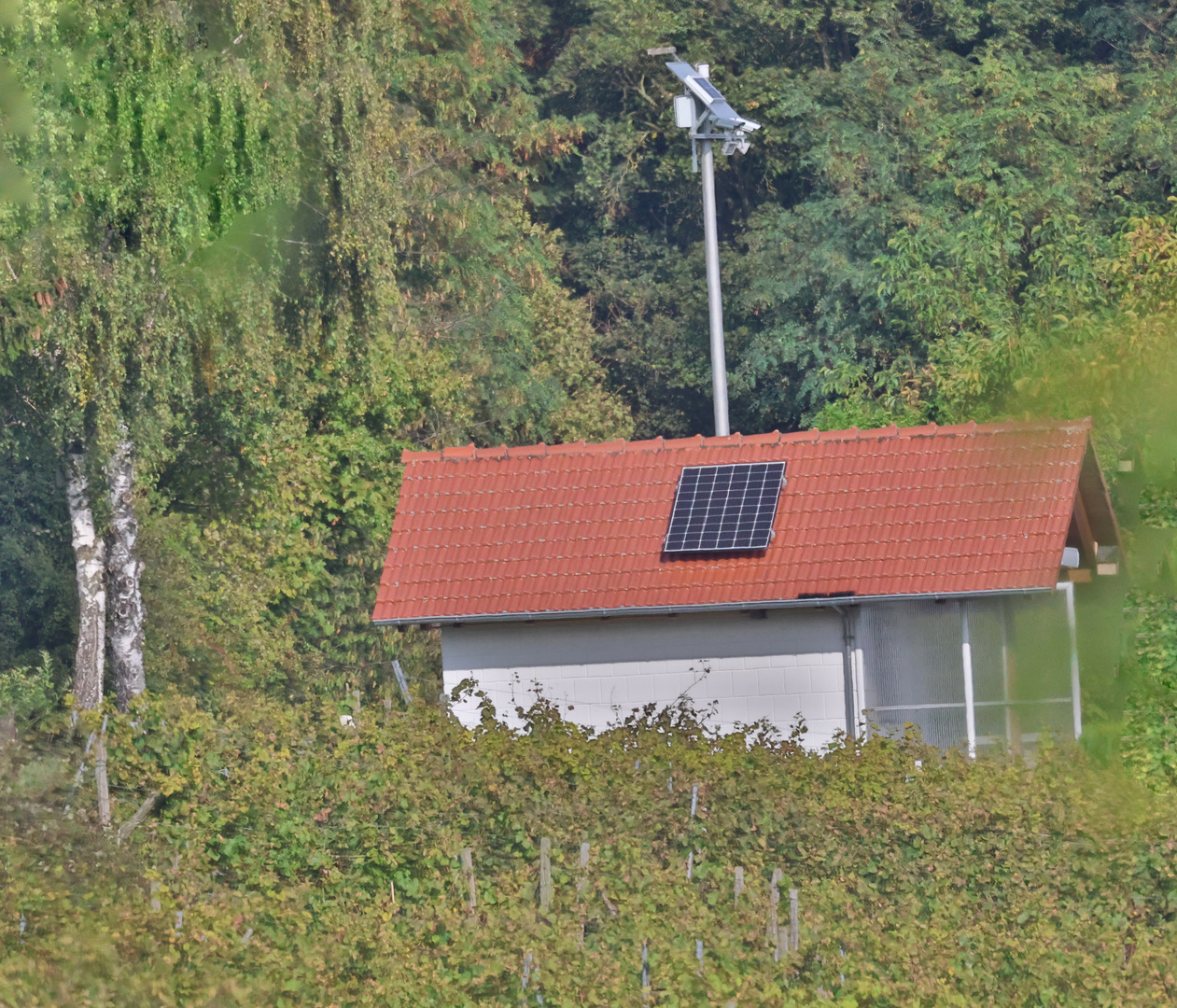 Blick auf Kohlplatte in Oberöwisheim 