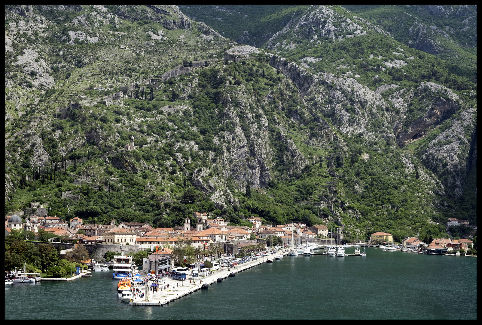 Blick auf Kotor