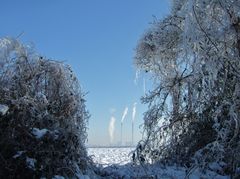 Blick auf Kraftwerk