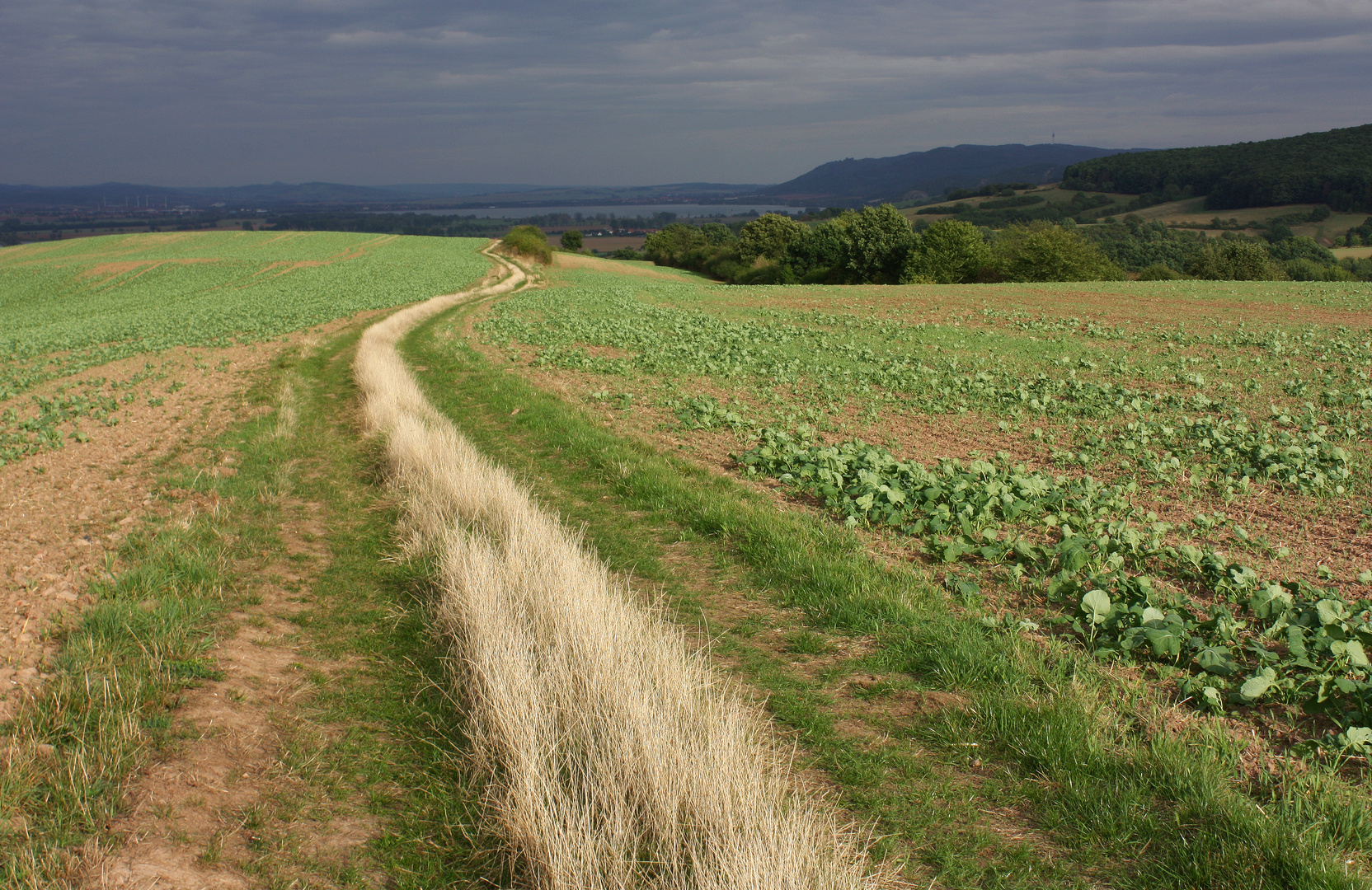 Blick auf Kyffhäusergebirge