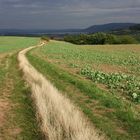 Blick auf Kyffhäusergebirge