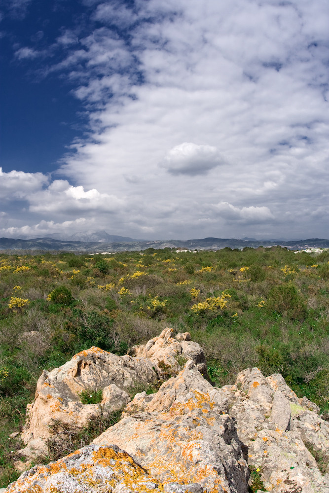 Blick auf La Caletta