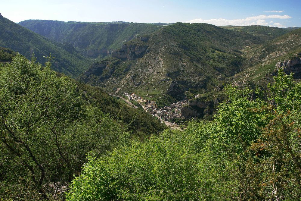 Blick auf La Malène,