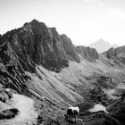 Blick auf Lache in den Allgäuer Alpen