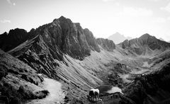 Blick auf Lache in den Allgäuer Alpen