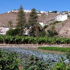 Blick auf Laguna de Santiago - La Gomera