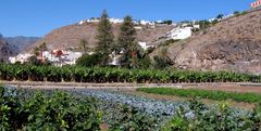 Blick auf Laguna de Santiago - La Gomera