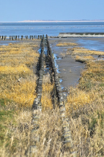 Blick auf Langeoog