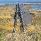 Blick auf Langeoog