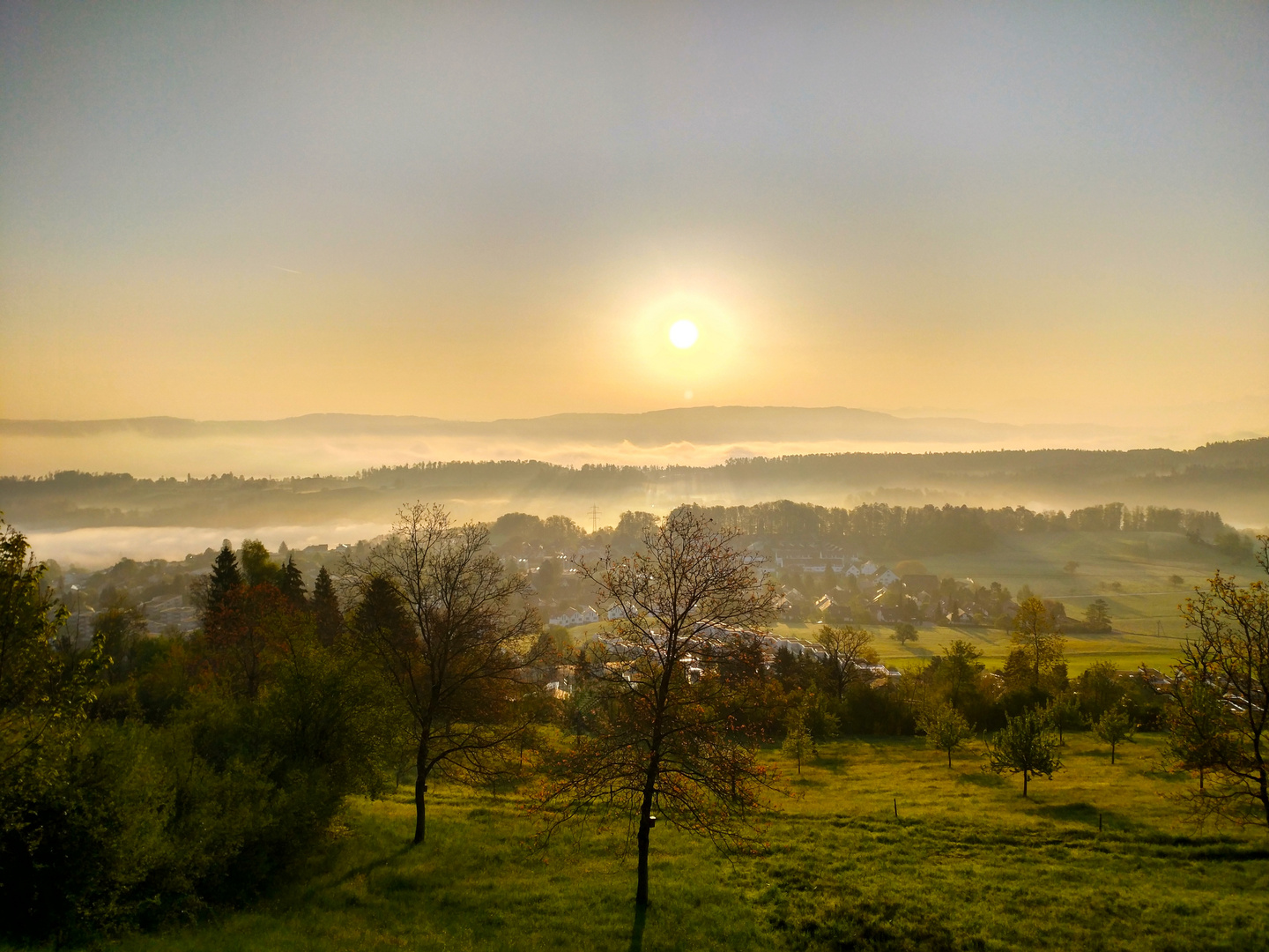 Blick auf Langnau am ALBIS II