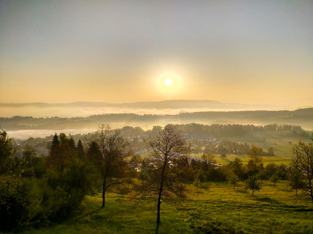 Blick auf Langnau am ALBIS II