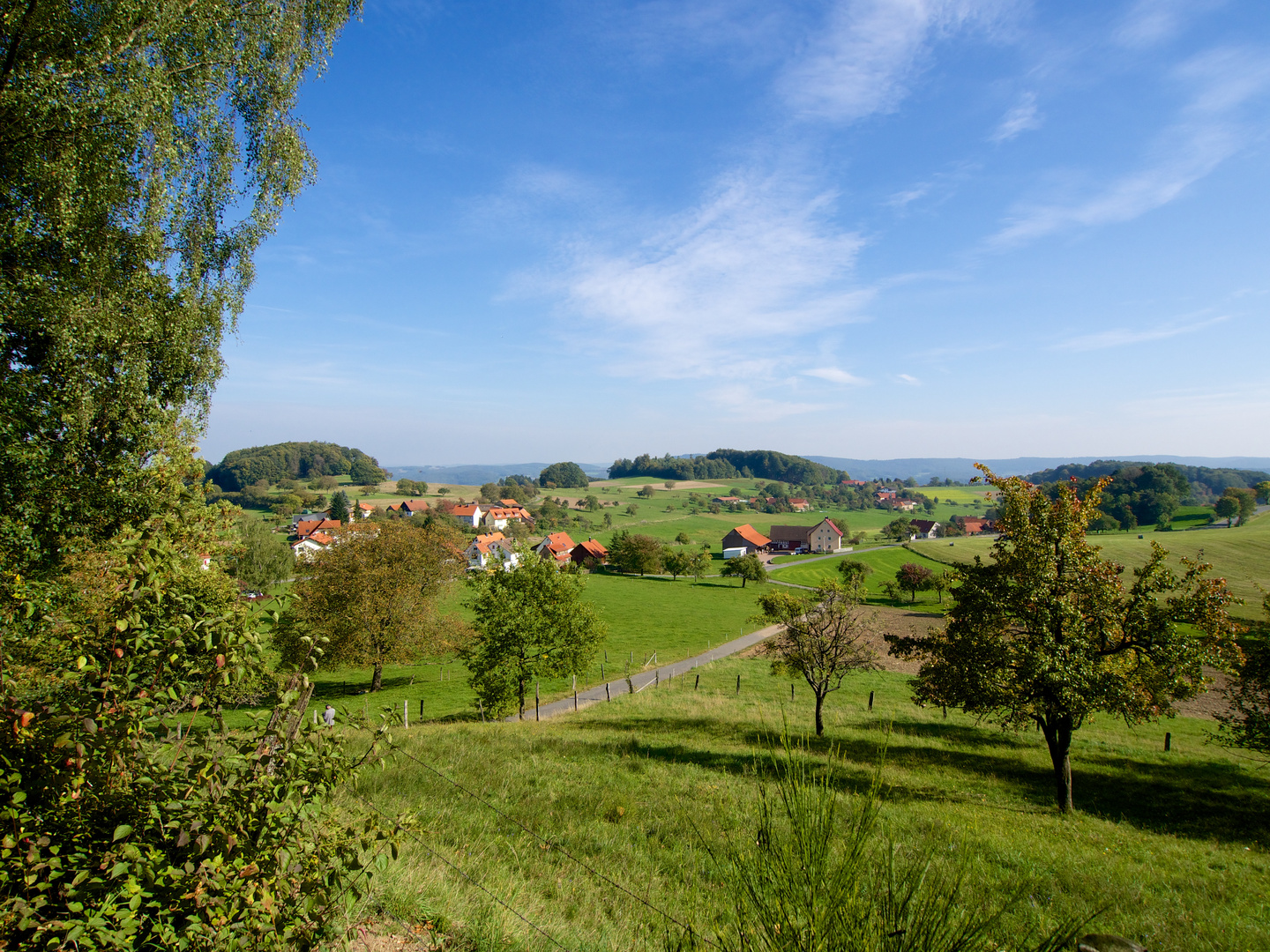 Blick auf Laudenau