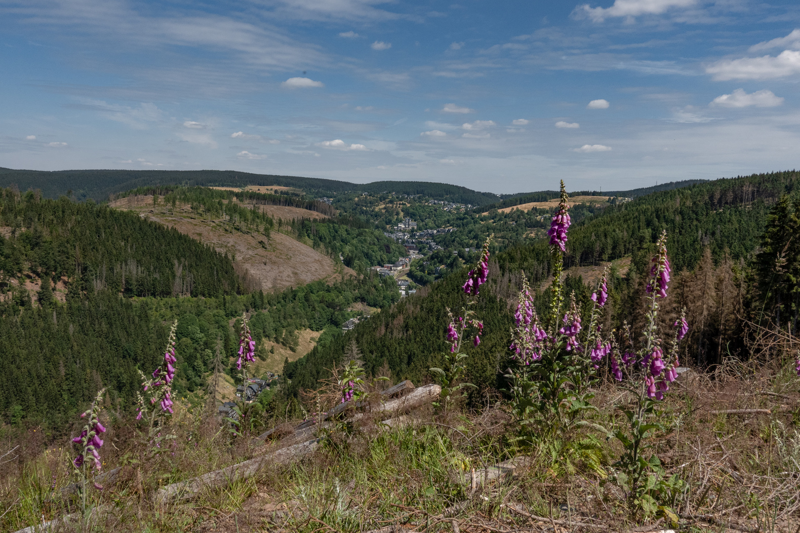 Blick auf Lauscha